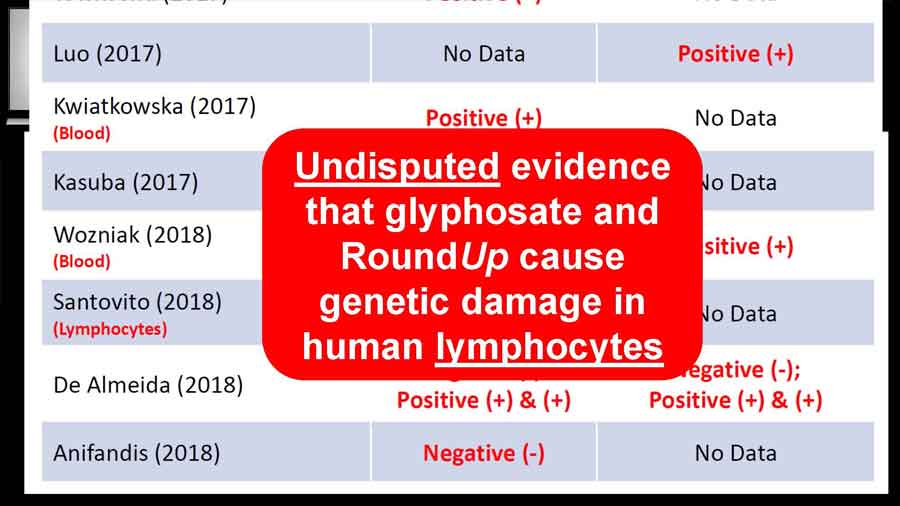 Undisputed evidence that glyphosate and RoundUp cause genetic damage in human lympocytes